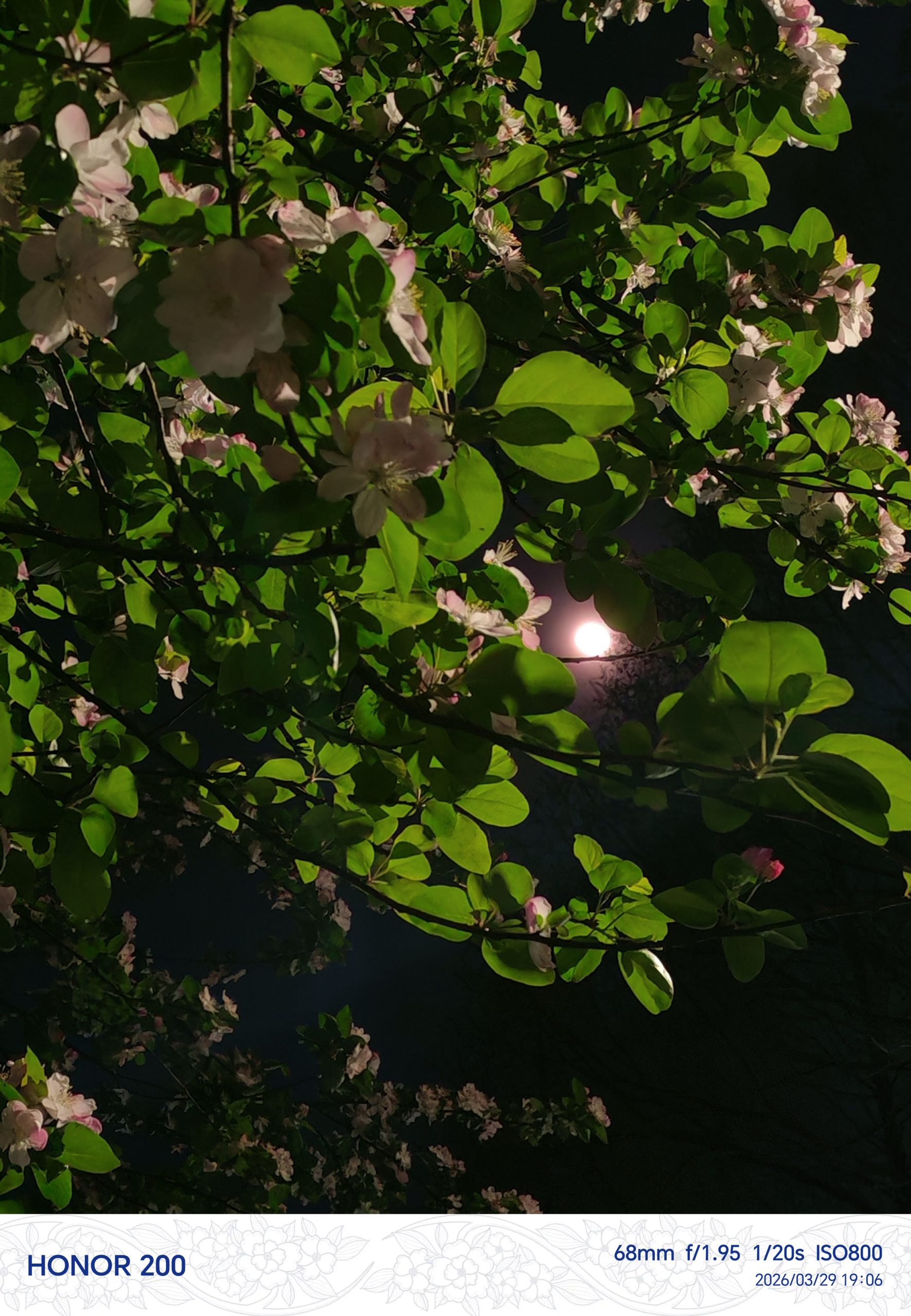 IMG_20260329_190616_edit_303645786589166